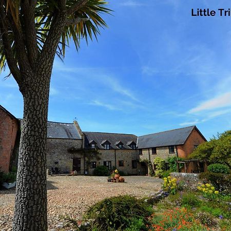 Trill Cottage Musbury Buitenkant foto