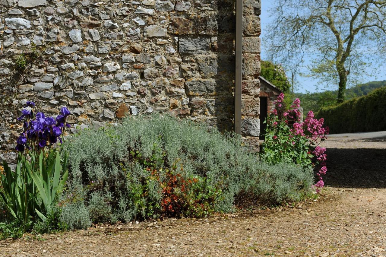 Trill Cottage Musbury Buitenkant foto
