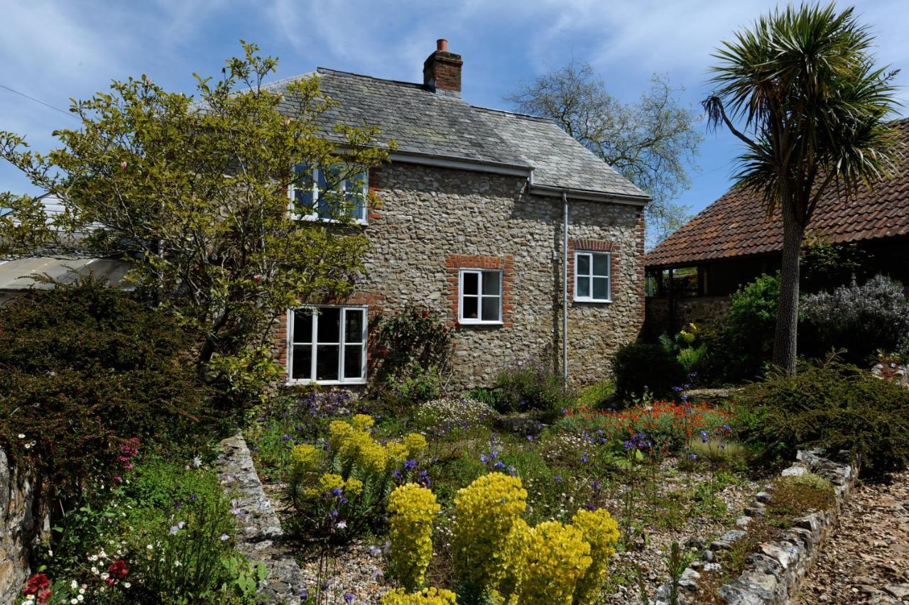 Trill Cottage Musbury Buitenkant foto